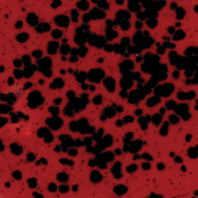 CG984 LADYBUG