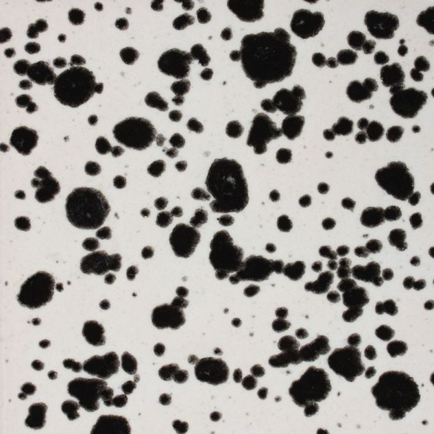 CG977 INK SPOTS