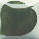 EZ071 DARK OLIVE