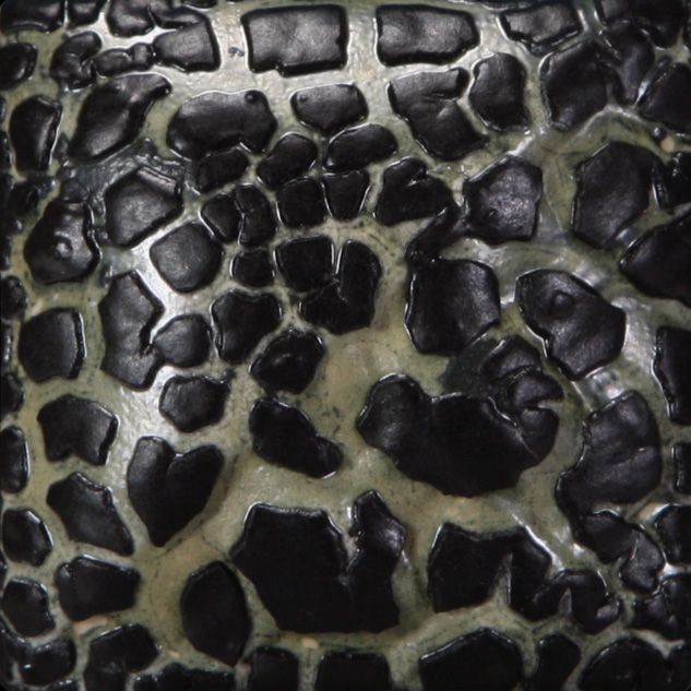 SW404 BLACK MUDCRACK