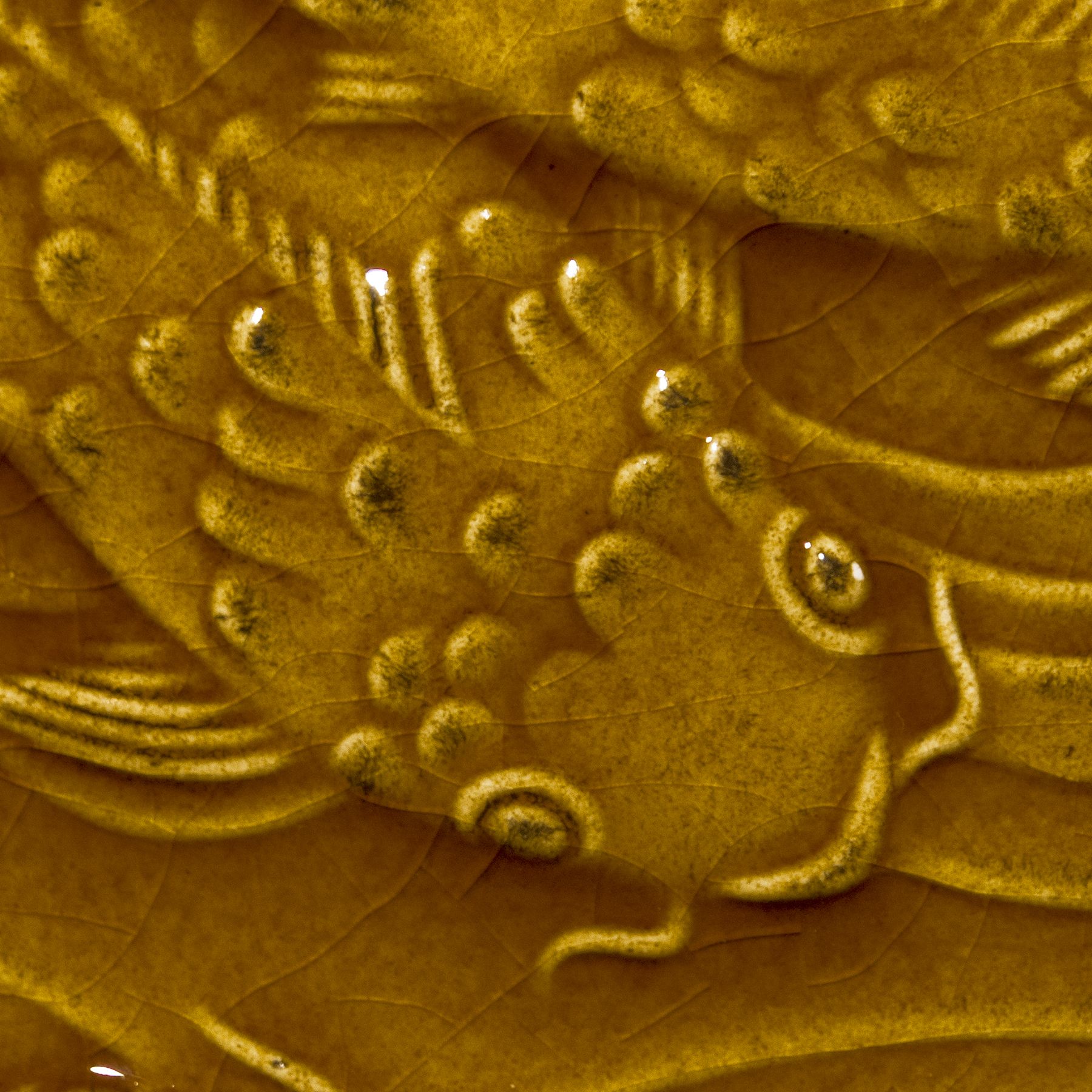 LG-65 AMBER